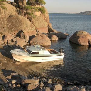 Meet your Posher, Roy-cindy